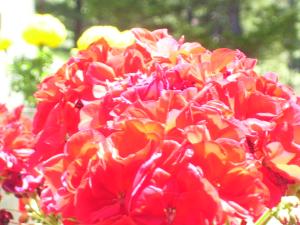 <img300*0:stuff/z/65638/MountainMontana2/i1372973566_21.jpg>