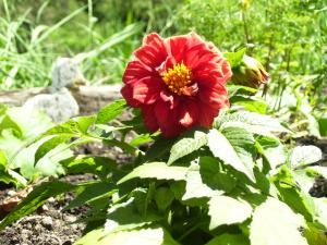<img300*0:stuff/z/65638/MountainMontana2/i1372973566_22.jpg>