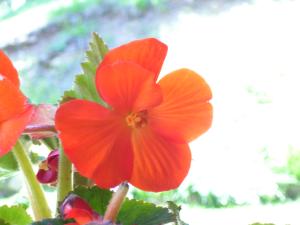 <img300*0:stuff/z/65638/MountainMontana2/i1372973566_25.jpg>