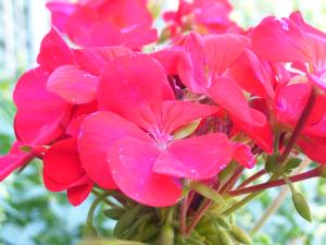 <img300*0:stuff/z/65638/MountainMontana2/i1372973566_27.jpg>