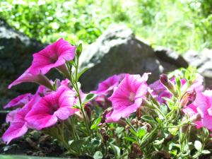 <img300*0:stuff/z/65638/MountainMontana2/i1372973566_28.jpg>
