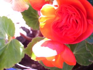 <img300*0:stuff/z/65638/MountainMontana2/i1372973566_29.jpg>