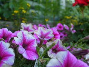 <img300*0:stuff/z/65638/MountainMontana2/i1372973566_31.jpg>