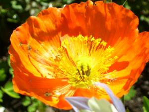 <img300*0:stuff/z/65638/MountainMontana2/i1372973566_32.jpg>