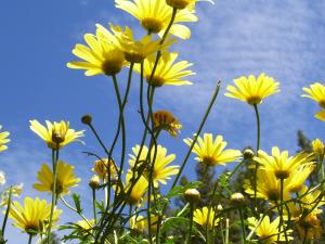 <img300*0:stuff/z/65638/MountainMontana2/i1372973566_34.jpg>