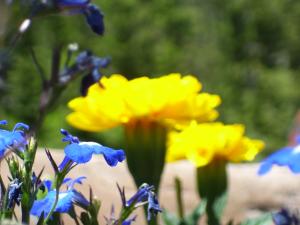 <img300*0:stuff/z/65638/MountainMontana2/i1372973566_7.jpg>