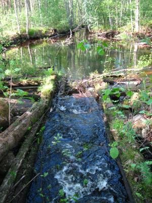 <imgr300*0:stuff/z/66126/MisLuck%2527s%2520Waters/IMG_1567.JPG>