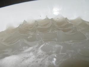 <img300*0:stuff/z/66126/MisLuck%2527s%2520Waters/IMG_1624.JPG>