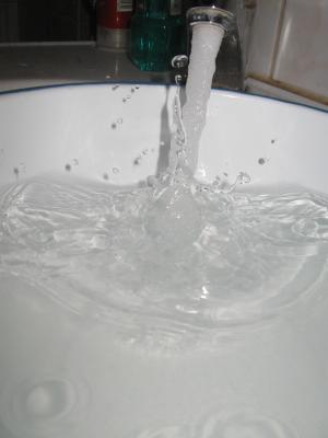 <imgr300*0:stuff/z/66126/MisLuck%2527s%2520Waters/IMG_1631.JPG>