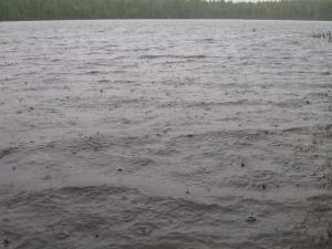 <img300*0:stuff/z/66126/MisLuck%2527s%2520Waters/IMG_1660.JPG>