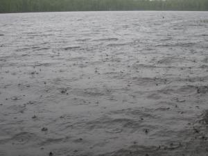 <img300*0:stuff/z/66126/MisLuck%2527s%2520Waters/IMG_1661.JPG>