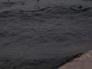 <img300*0:stuff/z/66126/MisLuck%2527s%2520Waters/IMG_1665.JPG>