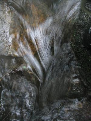 <imgl300*0:stuff/z/66126/MisLuck%2527s%2520Waters/IMG_1672.JPG>