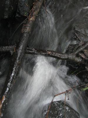 <imgr300*0:stuff/z/66126/MisLuck%2527s%2520Waters/IMG_1690.JPG>
