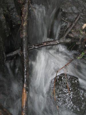 <imgr300*0:stuff/z/66126/MisLuck%2527s%2520Waters/IMG_1691.JPG>