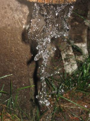 <imgr300*0:stuff/z/66126/MisLuck%2527s%2520Waters/IMG_1701.JPG>