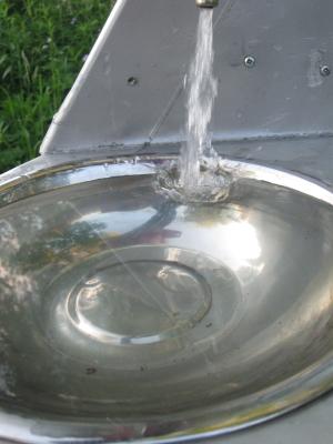 <imgr300*0:stuff/z/66126/MisLuck%2527s%2520Waters/IMG_1715.JPG>
