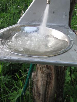<imgr300*0:stuff/z/66126/MisLuck%2527s%2520Waters/IMG_1717.JPG>