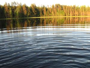 <img300*0:stuff/z/66126/MisLuck%2527s%2520Waters/IMG_1721.JPG>
