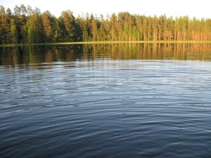 <img300*0:stuff/z/66126/MisLuck%2527s%2520Waters/IMG_1722.JPG>