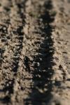 <img100*0:stuff/z/73640/.textures%2520reference.2/i1259718395_10.jpg>