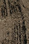 <img100*0:stuff/z/73640/.textures%2520reference.2/i1259718395_14.jpg>