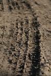 <img100*0:stuff/z/73640/.textures%2520reference.2/i1259718395_15.jpg>