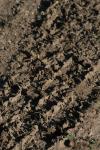 <img100*0:stuff/z/73640/.textures%2520reference.2/i1259718395_16.jpg>