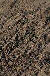 <img100*0:stuff/z/73640/.textures%2520reference.2/i1259718395_21.jpg>