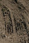 <img100*0:stuff/z/73640/.textures%2520reference.2/i1259718395_24.jpg>