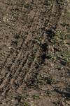 <img100*0:stuff/z/73640/.textures%2520reference.2/i1259718395_26.jpg>