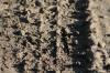 <img100*0:stuff/z/73640/.textures%2520reference.2/i1259718395_4.jpg>