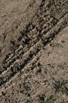 <img100*0:stuff/z/73640/.textures%2520reference.2/i1259718395_6.jpg>