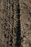 <img100*0:stuff/z/73640/.textures%2520reference.2/i1259718396_29.jpg>