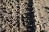 <img100*0:stuff/z/73640/.textures%2520reference.2/i1259718396_32.jpg>