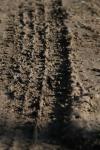 <img100*0:stuff/z/73640/.textures%2520reference.2/i1259718396_33.jpg>