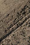 <img100*0:stuff/z/73640/.textures%2520reference.2/i1259718396_34.jpg>