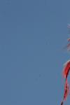 <img100*0:stuff/z/73640/American%2520Flag%2520reference.2/i1275102344_1.jpg>