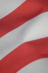 <img100*0:stuff/z/73640/American%2520Flag%2520reference.2/i1275102346_3.jpg>