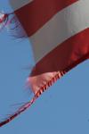 <img100*0:stuff/z/73640/American%2520Flag%2520reference.2/i1275102347_4.jpg>