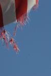 <img100*0:stuff/z/73640/American%2520Flag%2520reference.2/i1275102348_5.jpg>