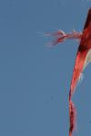 <img100*0:stuff/z/73640/American%2520Flag%2520reference.2/i1275102348_6.jpg>