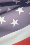 <img100*0:stuff/z/73640/American%2520Flag%2520reference.2/i1275102350_12.jpg>