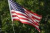 <img100*0:stuff/z/73640/American%2520Flag%2520reference/i1264963469_1.jpg>
