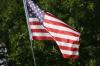 <img100*0:stuff/z/73640/American%2520Flag%2520reference/i1264963469_2.jpg>