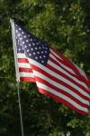 <img100*0:stuff/z/73640/American%2520Flag%2520reference/i1264963469_3.jpg>