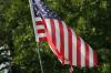 <img100*0:stuff/z/73640/American%2520Flag%2520reference/i1264963469_5.jpg>