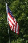 <img100*0:stuff/z/73640/American%2520Flag%2520reference/i1264963469_9.jpg>