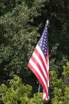<img100*0:stuff/z/73640/American%2520Flag%2520reference/i1264963470_10.jpg>