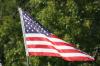 <img100*0:stuff/z/73640/American%2520Flag%2520reference/i1264963470_11.jpg>